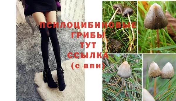 амф Аркадак