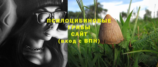 стаф Армянск