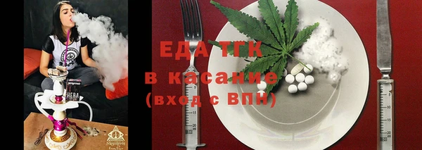 гашик Арсеньев