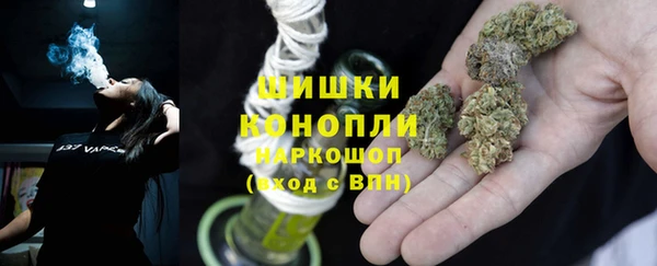 амф Аркадак