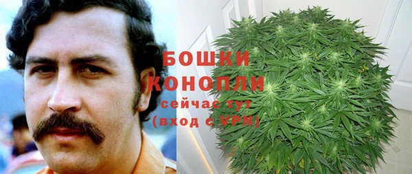 гашик Арсеньев