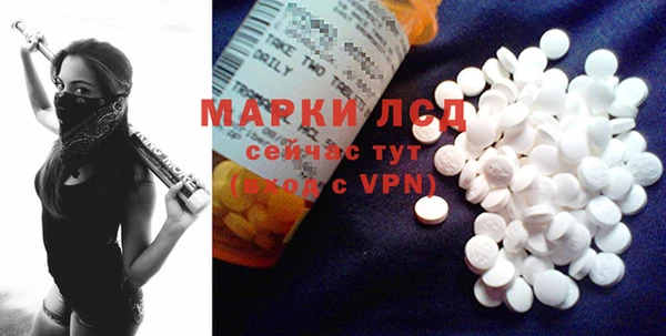 хмурый Алексин