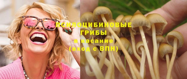 гашик Арсеньев