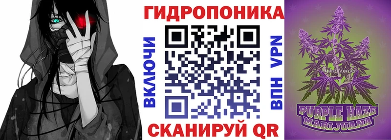 кракен вход  Сясьстрой  Бошки марихуана индика 